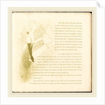 Yvette Guilbert, 1894 by Henri de Toulouse-Lautrec