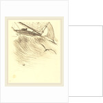 Les hirondelles de mer, 1895 by Henri de Toulouse-Lautrec