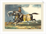 Two Dapple-Gray Horses Exercising, 1822 by Théodore Gericault and Léon Cogniet