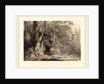 Flooding in the Forest of the Ile Séguin, 1833 by Paul Huet