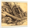 Tornado by Alphonse Legros
