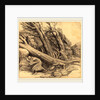 Tornado by Alphonse Legros