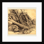 Tornado by Alphonse Legros