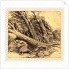 Tornado by Alphonse Legros