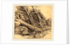 Tornado by Alphonse Legros