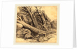 Tornado by Alphonse Legros