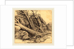 Tornado by Alphonse Legros
