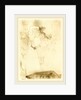 Lender from the Back Dancing the Bolero in Chilperic, 1895 by Henri de Toulouse-Lautrec