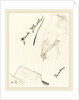 Frontispiece, 1898 by Henri de Toulouse-Lautrec