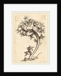 Thistle Ornament by Martin Schongauer
