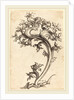 Thistle Ornament by Martin Schongauer