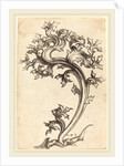 Thistle Ornament by Martin Schongauer