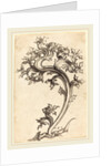 Thistle Ornament by Martin Schongauer