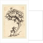 Thistle Ornament by Martin Schongauer