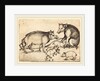 Family of Pigs by Martin Schongauer