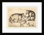 Family of Pigs by Martin Schongauer