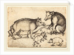 Family of Pigs by Martin Schongauer