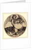 Shield with Lion, Held by Angel by Martin Schongauer