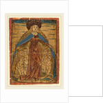 Madonna as Protectress by Anonymous