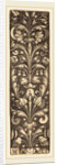 Sprig of Ornamental Foliage with Two Masks and Two Dolphins, 1530 by Heinrich Aldegrever