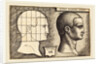 Head of a Man, 1542 by Sebald Beham