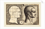 Head of a Man, 1542 by Sebald Beham