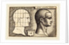 Head of a Man, 1542 by Sebald Beham
