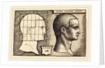 Head of a Man, 1542 by Sebald Beham