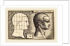 Head of a Man, 1542 by Sebald Beham