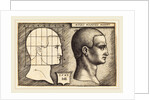 Head of a Man, 1542 by Sebald Beham