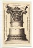 Capital and Base of a Column, 1543 by Sebald Beham