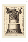 Capital and Base of a Column, 1543 by Sebald Beham