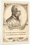 Conrad Schall, 1547 by Augustin Hirschvogel