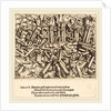 The Death of Samson, 1547 by Augustin Hirschvogel
