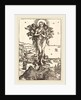 The Elevation of Saint Mary Magdalene by Albrecht Dürer