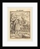 Old Man by Hans Holbein the Younger