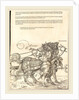 The Triumphal Chariot of Maximilian I plate 7 of 8, 1522 by Albrecht Dürer