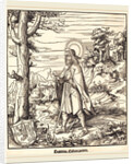 Saint Colomannus by Leonhard Beck