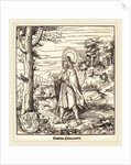 Saint Colomannus by Leonhard Beck