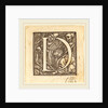 Letter D by Hans Holbein the Younger