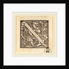 Letter N by Hans Holbein the Younger