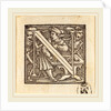Letter N by Hans Holbein the Younger