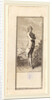 Young Man Bareheaded, with Sword, 1784 by Daniel Nikolaus Chodowiecki