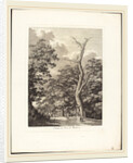 Entrata nel bosco di Marino, 1792 by Jacob Wilhelm Mechau
