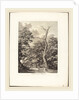 Entrata nel bosco di Marino, 1792 by Jacob Wilhelm Mechau