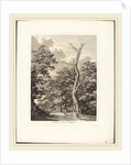 Entrata nel bosco di Marino, 1792 by Jacob Wilhelm Mechau