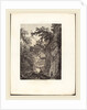 Ponte Lupo a Tivoli, 1792 by Albert Christoph Dies