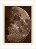 Photographie de la lune a son 1er Quartier, 1865 by Lewis Rutherford