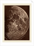 Photographie de la lune a son 1er Quartier, 1865 by Lewis Rutherford