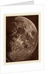 Photographie de la lune a son 1er Quartier, 1865 by Lewis Rutherford